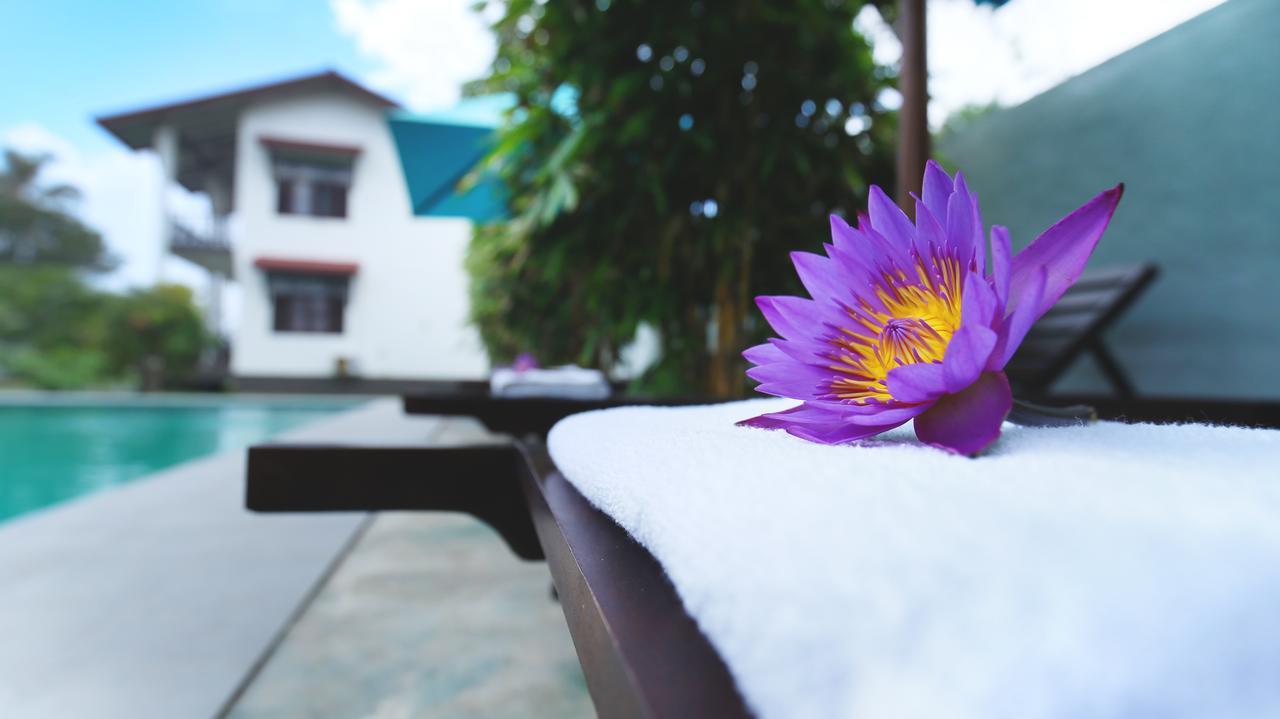 Kaminrich Cottage Matara Dış mekan fotoğraf
